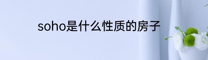 soho是什么性质的房子