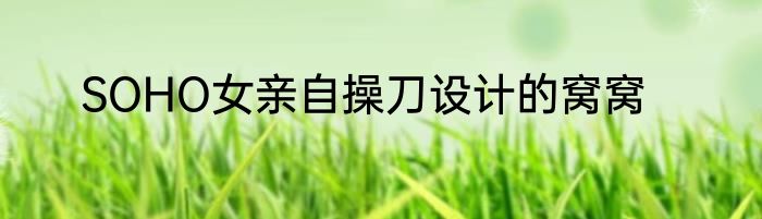 SOHO女亲自操刀设计的窝窝