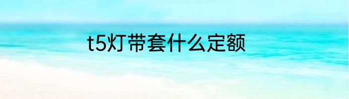 t5灯带套什么定额