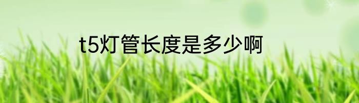 t5灯管长度是多少啊