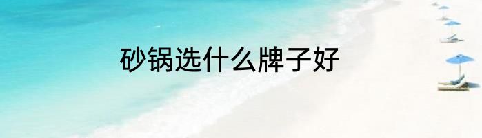 砂锅选什么牌子好