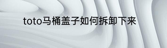 toto马桶盖子如何拆卸下来