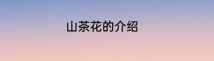 山茶花的介绍
