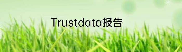 Trustdata报告