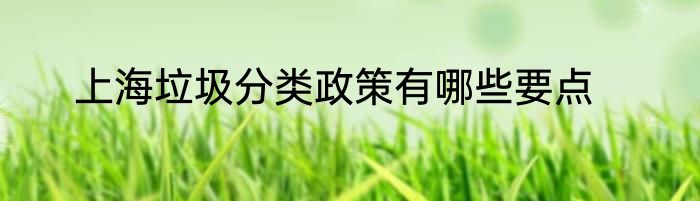 上海垃圾分类政策有哪些要点