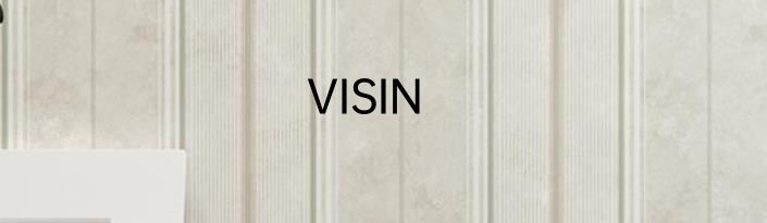 VISIN