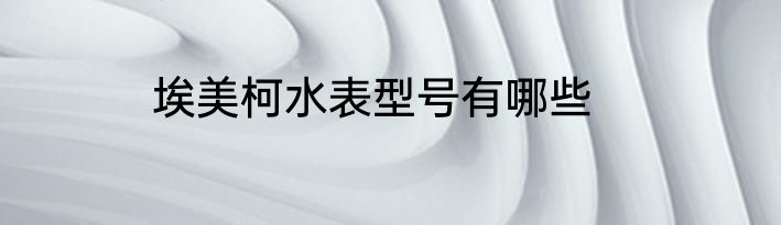 埃美柯水表型号有哪些