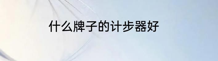 什么牌子的计步器好
