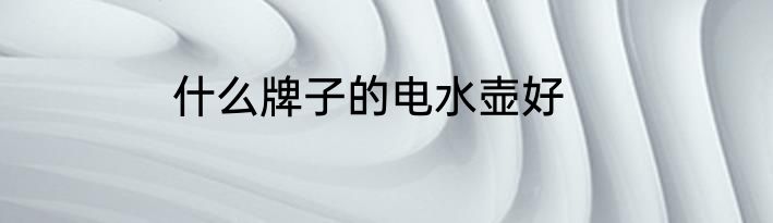 什么牌子的电水壶好