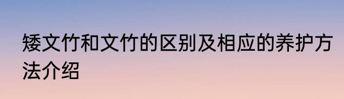 矮文竹和文竹的区别及相应的养护方法介绍