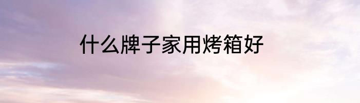 什么牌子家用烤箱好
