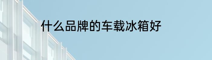 什么品牌的车载冰箱好