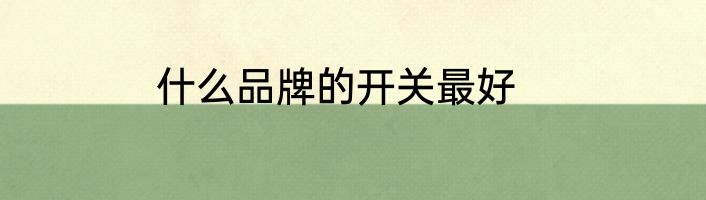 什么品牌的开关最好