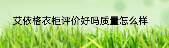 艾依格衣柜评价好吗质量怎么样