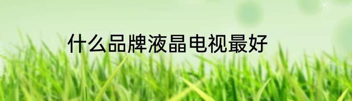 什么品牌液晶电视最好