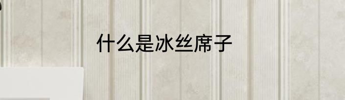 什么是冰丝席子