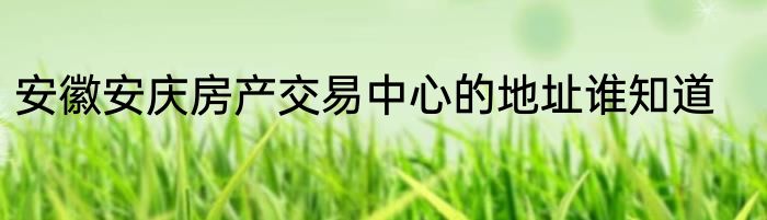 安徽安庆房产交易中心的地址谁知道