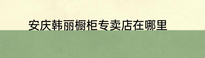 安庆韩丽橱柜专卖店在哪里