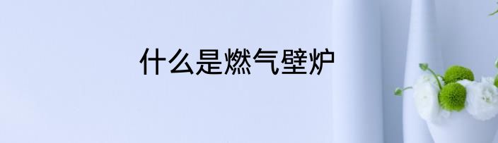什么是燃气壁炉