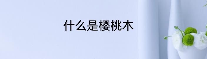 什么是樱桃木
