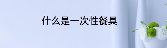 什么是一次性餐具