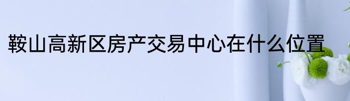 鞍山高新区房产交易中心在什么位置