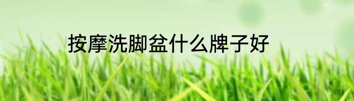 按摩洗脚盆什么牌子好