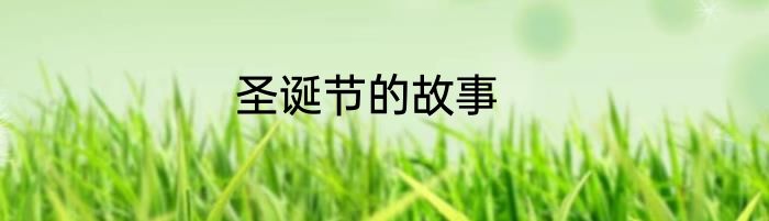 圣诞节的故事