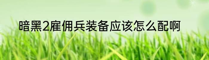 暗黑2雇佣兵装备应该怎么配啊