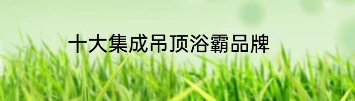 十大集成吊顶浴霸品牌