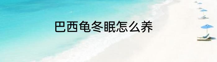 巴西龟冬眠怎么养