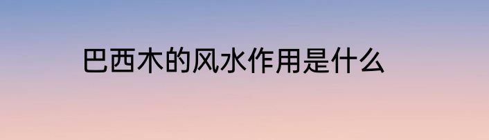 巴西木的风水作用是什么