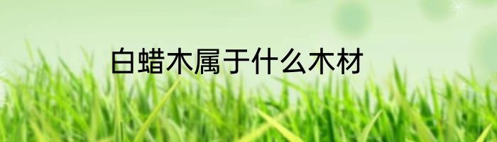 白蜡木属于什么木材