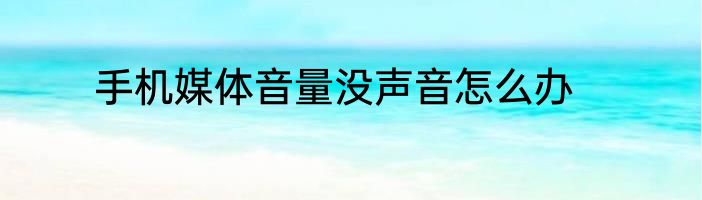 手机媒体音量没声音怎么办