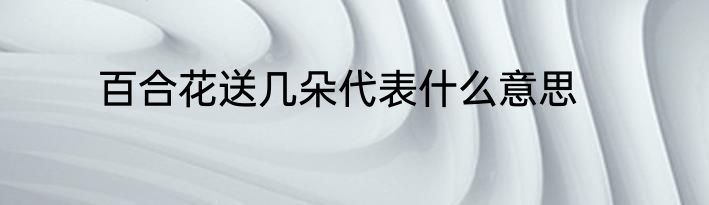 百合花送几朵代表什么意思
