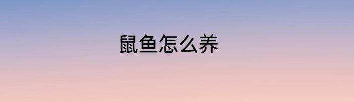 鼠鱼怎么养