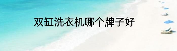 双缸洗衣机哪个牌子好