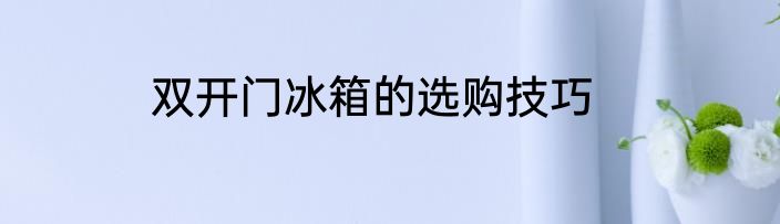双开门冰箱的选购技巧