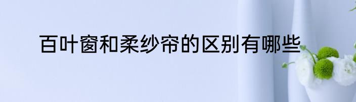 百叶窗和柔纱帘的区别有哪些