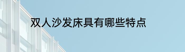 双人沙发床具有哪些特点