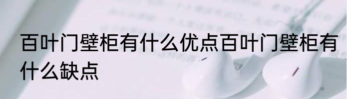 百叶门壁柜有什么优点百叶门壁柜有什么缺点