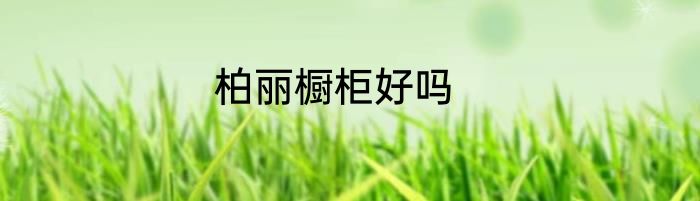 柏丽橱柜好吗