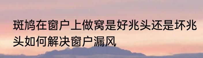 斑鸠在窗户上做窝是好兆头还是坏兆头如何解决窗户漏风