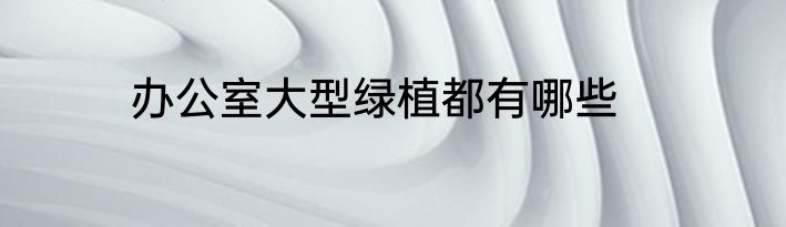 办公室大型绿植都有哪些