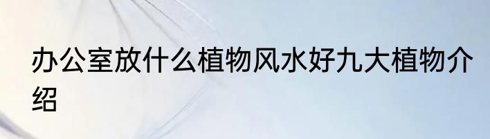 办公室放什么植物风水好九大植物介绍
