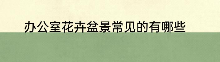办公室花卉盆景常见的有哪些