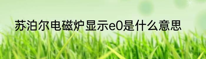 苏泊尔电磁炉显示e0是什么意思