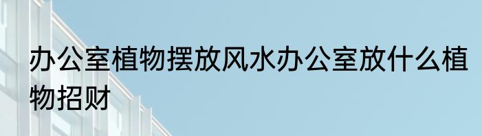 办公室植物摆放风水办公室放什么植物招财