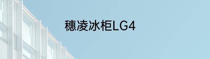 穗凌冰柜LG4