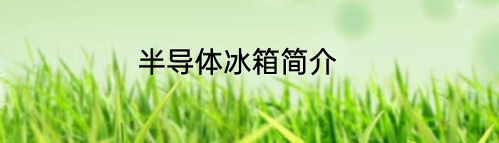 半导体冰箱简介